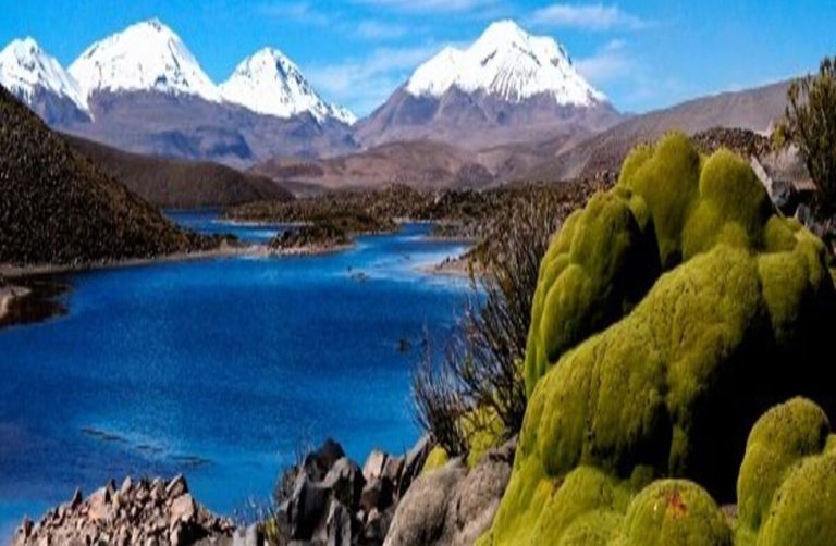 Parque Nacional Lauca: Conoce los paisajes, actividades, flora y fauna del lugar