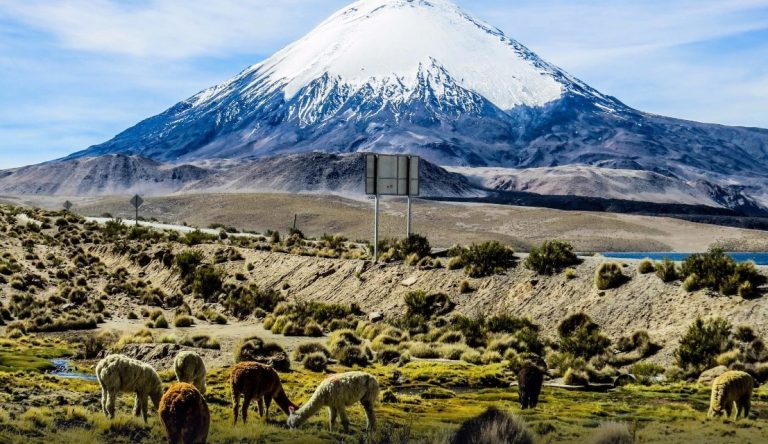 La cultura y las tradiciones de Arica son una mezcla fascinante de influencias indígenas, coloniales y contemporáneas