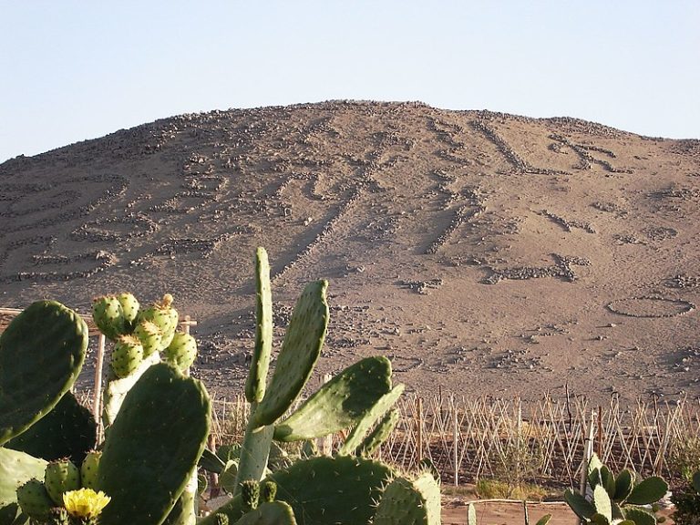 El Valle de Azapa es una joya natural y cultural