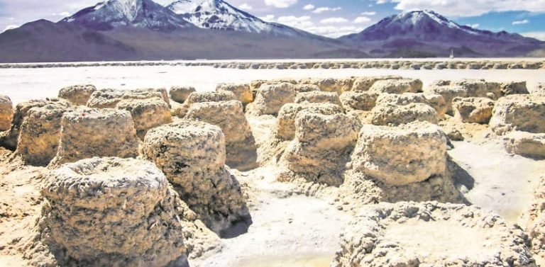 Ministros del Primer Tribunal Ambiental realizan visita inspectiva a Salar de Surire