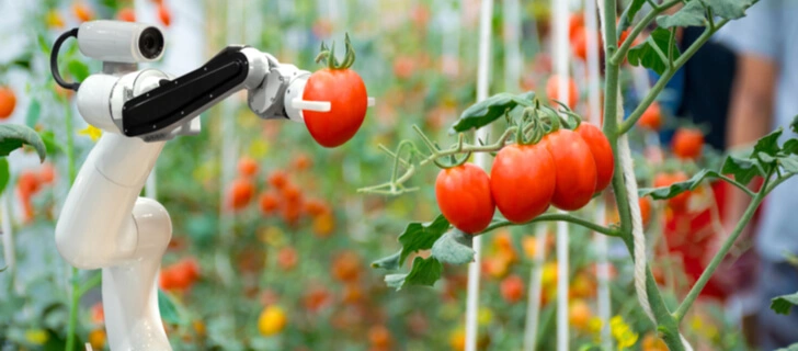 ¿Cómo influye la tecnología en la producción de alimentos?