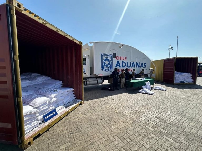 Descubren 43 toneladas de precursores químicos para drogas en el puerto de Arica