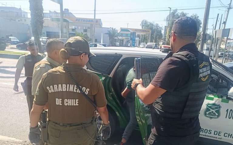 Prófugos y armas blancas: Seis detenidos en la semana por las patrullas mixtas en Arica