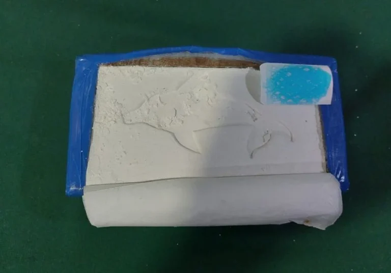 El olfato de ‘Ken’: incauta 3 kilos de cocaína en control carretero de Cuya