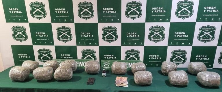 Ketamina y marihuana: descubren camión con drogas en su cabina en ruta fronteriza de Arica