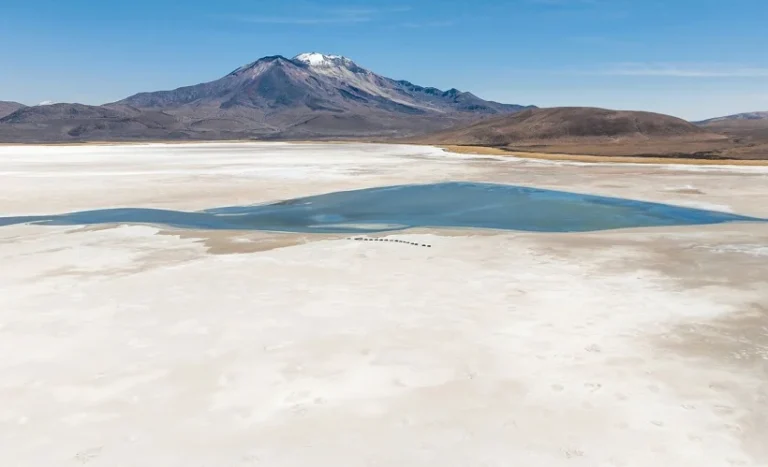 Tribunal Ambiental revisó cautelares en Salar de Surire: Quiborax quiere una extracción restringida