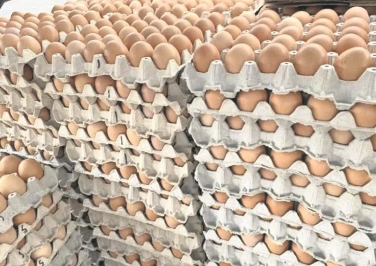 Ariqueños afectados por nueva alza de los huevos