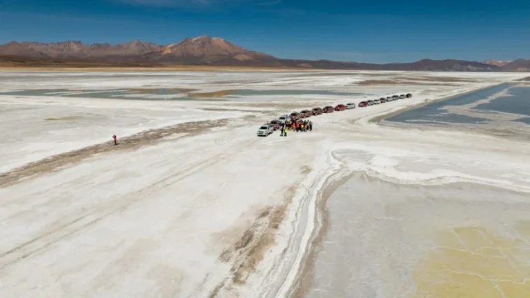 Tribunal Ambiental autoriza operación restringida de Quiborax en el Salar de Surire